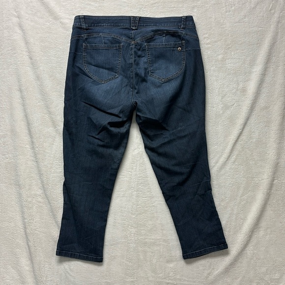Democracy Ab Solution Plus 16W  Jeans distressed - Picture 1 of 9
